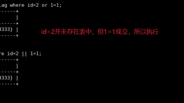 什么是SQL注入？程序员应该注意些什么？